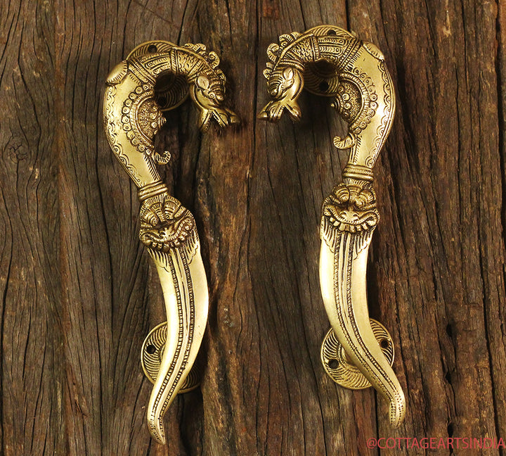 Brass Vyala Door Handle