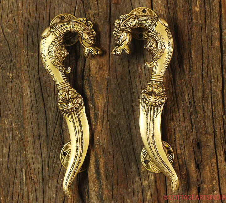Brass Vyala Door Handle