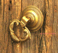 Brass Parrot Door Knocker