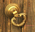 Brass Parrot Door Knocker