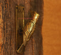 Brass Wood Pecker Door Knock