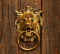 Brass Lion Door Knocker