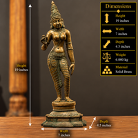 Brass Standing Uma Parvati – Chola Style in Authentic Bronze Finish