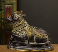 Brass Nandi In Antique Black Finish 17"