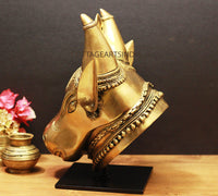 Brass Bull Head