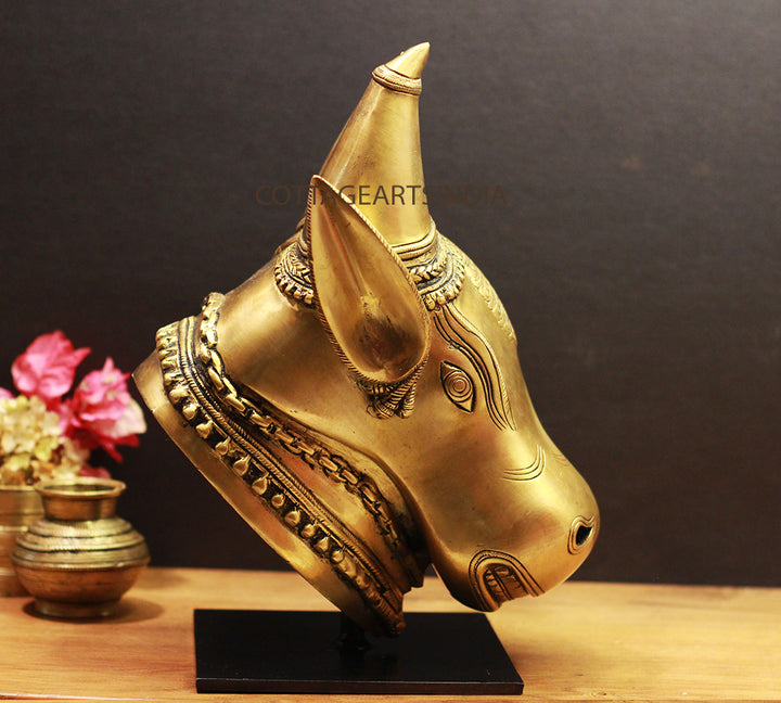 Brass Bull Head