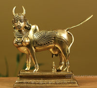 Brass Kamdhenu Superfine