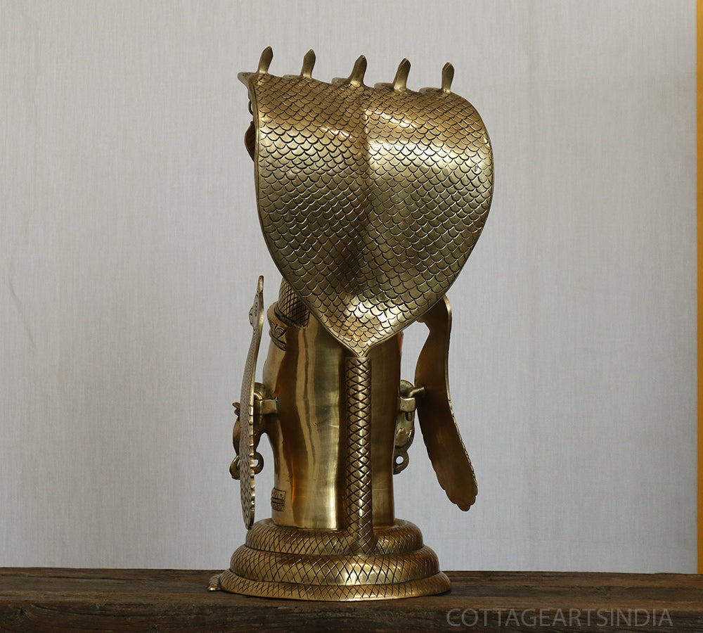 Shiva Mukhalingam with Nagabharanam Big
