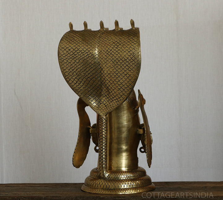 Shiva Mukhalingam with Nagabharanam Big