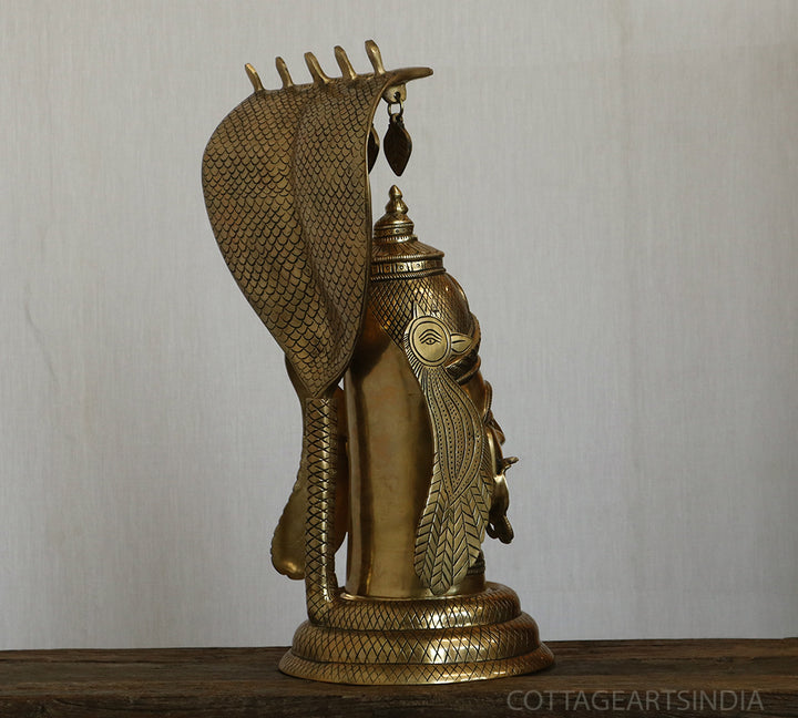 Shiva Mukhalingam with Nagabharanam Big