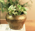 Brass  Vintage Pot