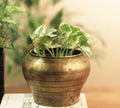 Brass  Vintage Pot