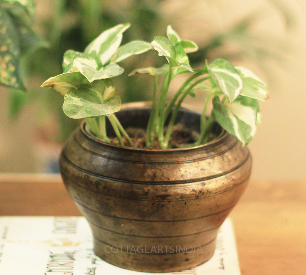 Brass  Vintage Pot