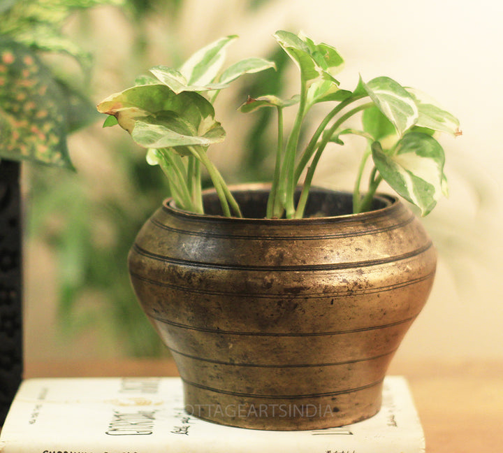 Brass  Vintage Pot