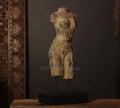 Female Torso Sculpture on Stand
