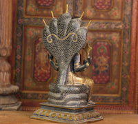 Brass Vishnu Black and Antique Gold Finish with Sheshnaag