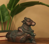 Brass Nandi Bronze Finished
