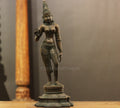 Brass Standing Uma Parvati – Chola Style in Authentic Bronze Finish