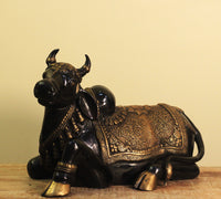 Brass Nandi 22"
