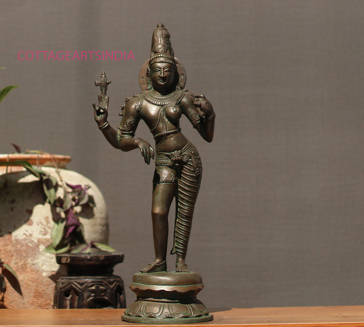 Brass Ardhanarashivara Bronze Finish 19"