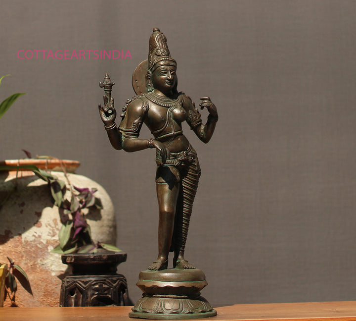 Brass Ardhanarashivara Bronze Finish 19"