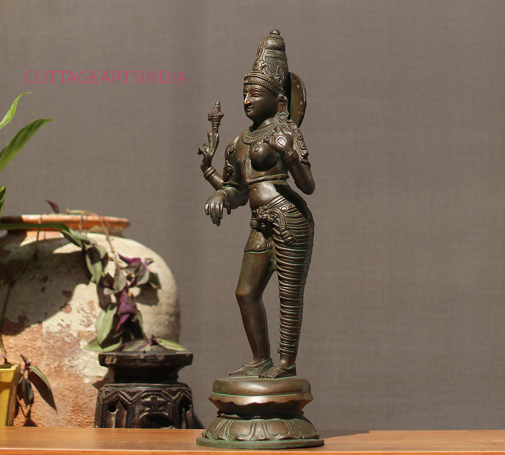 Brass Ardhanarashivara Bronze Finish 19"