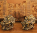 Brass Vintage Finish Yali Door Knob
