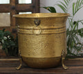 Handcrafted Hammered Brass Planter with Lion Ring Handles 13"