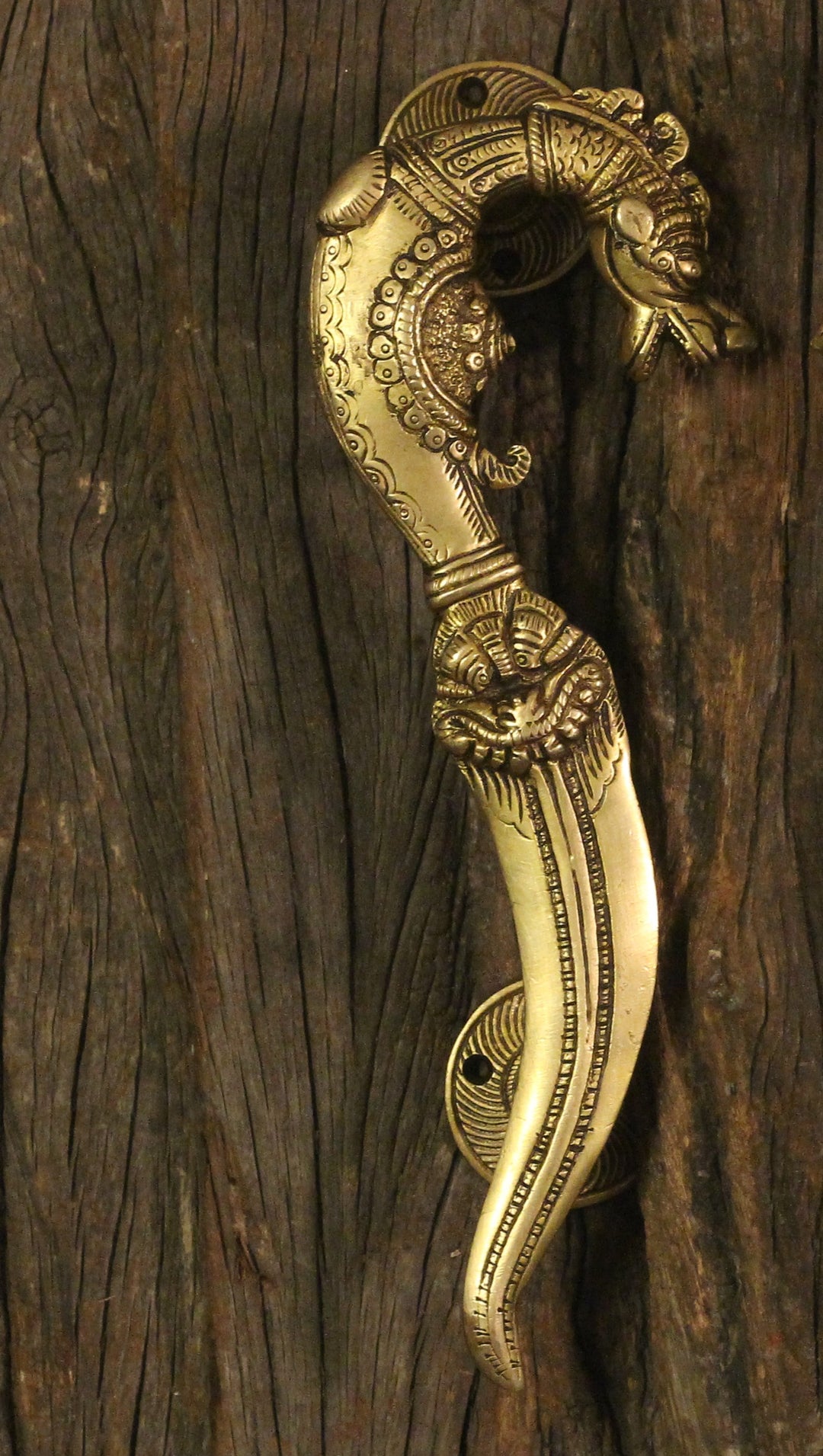 Brass Vyala Door Handle