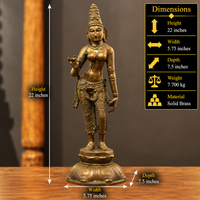 Brass Standing Parvati – Chola Style in Authentic Bronze Finish