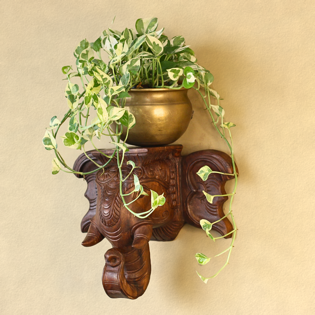 Handcrafted Wooden Elephant Trunk Wall Shelf