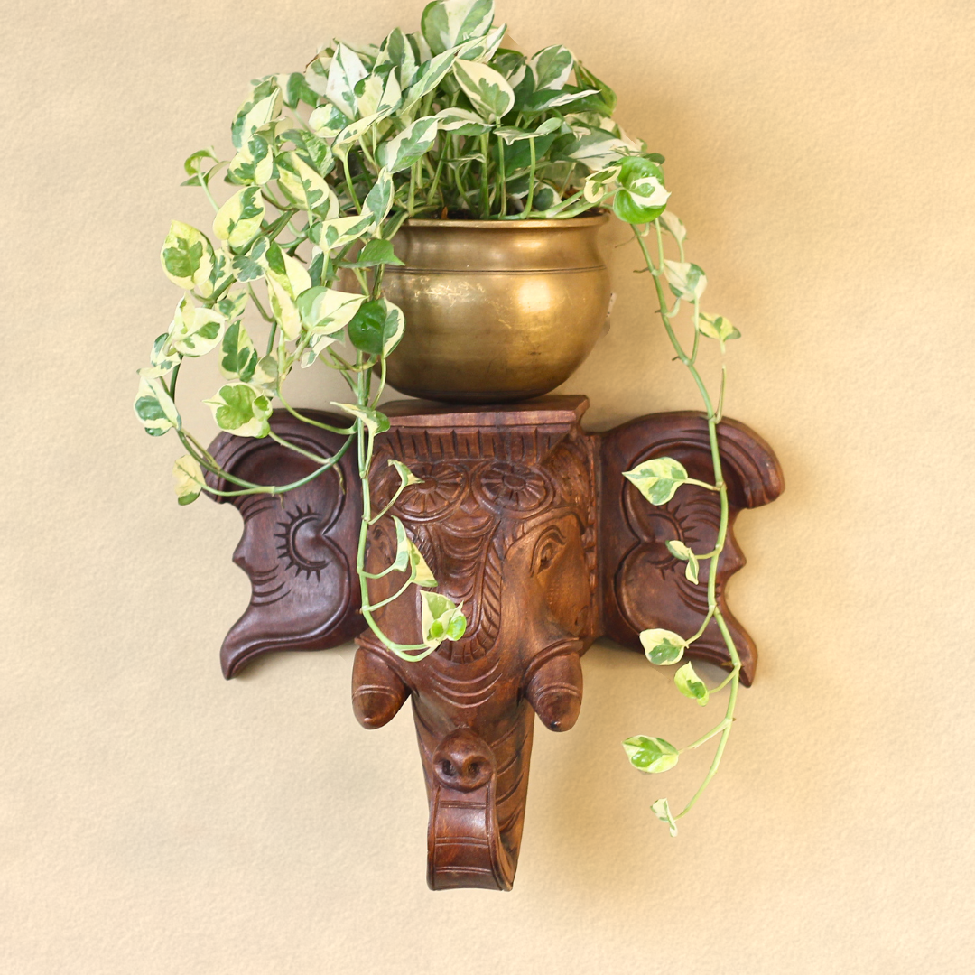 Handcrafted Wooden Elephant Trunk Wall Shelf