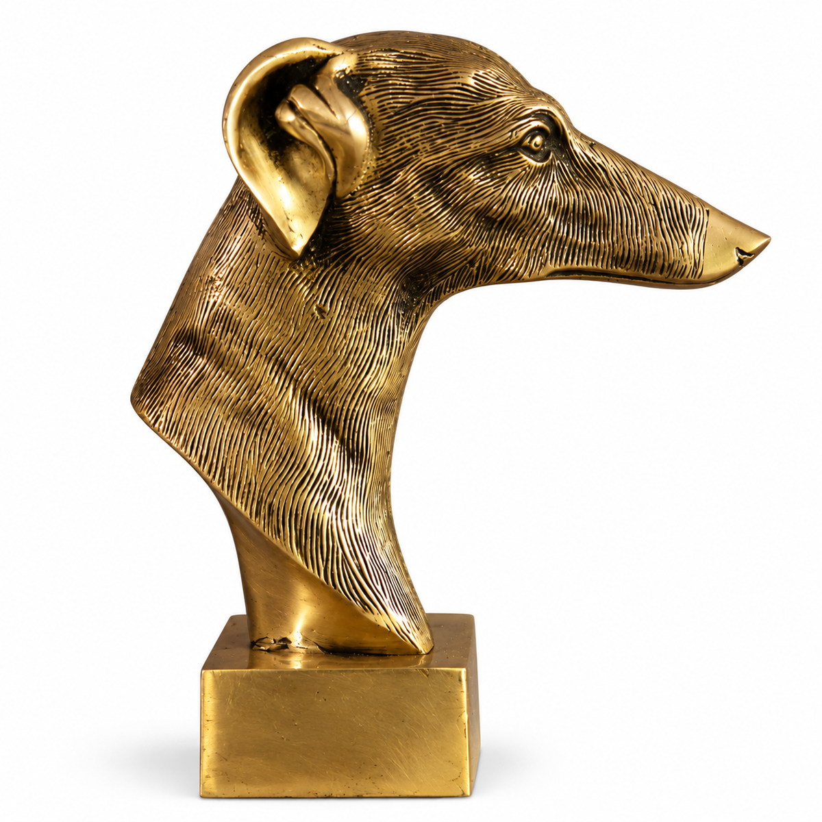 Brass Dog Bust