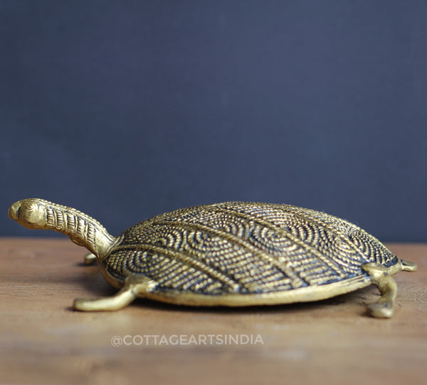 Brass Tortoise