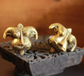 Brass Yali Door Knob (pair)