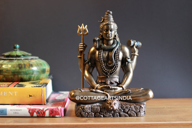 Bonded Resin Shiva 8''