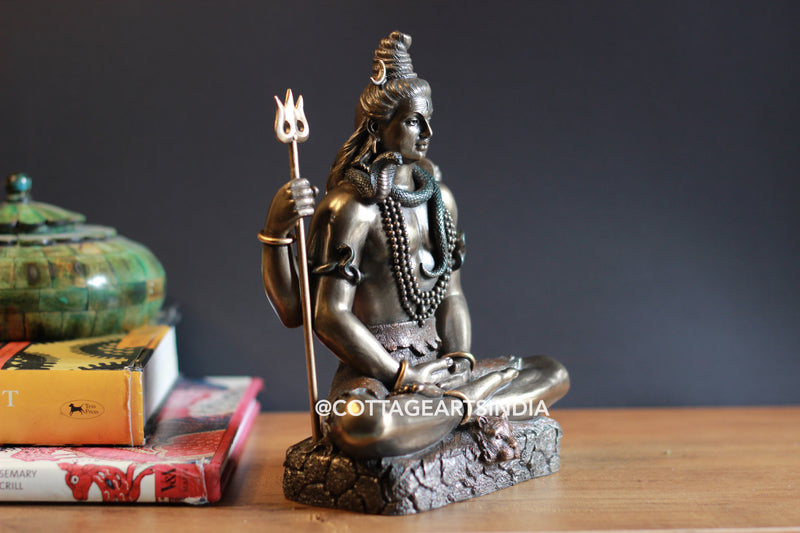 Bonded Resin Shiva 8''