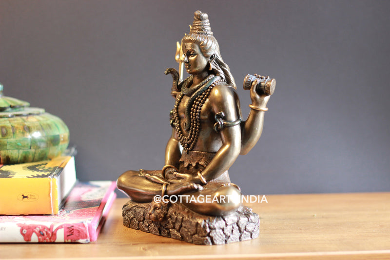 Bonded Resin Shiva 8''