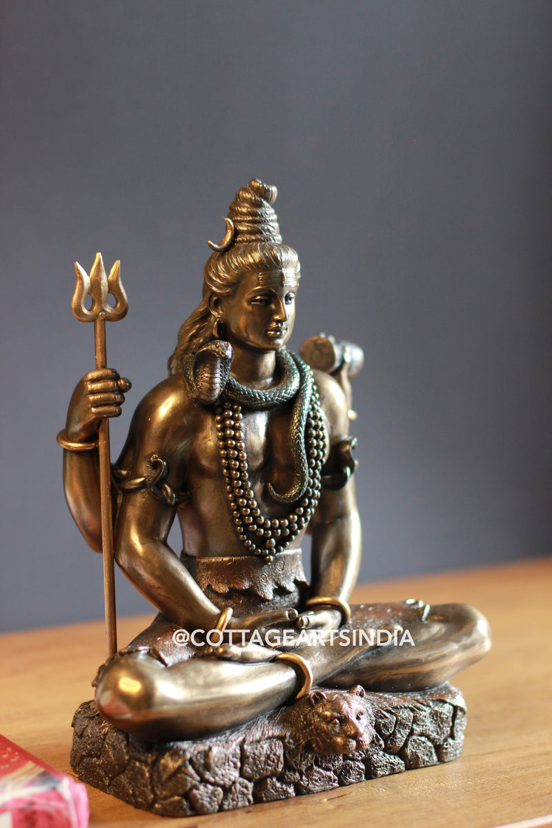 Bonded Resin Shiva 8''